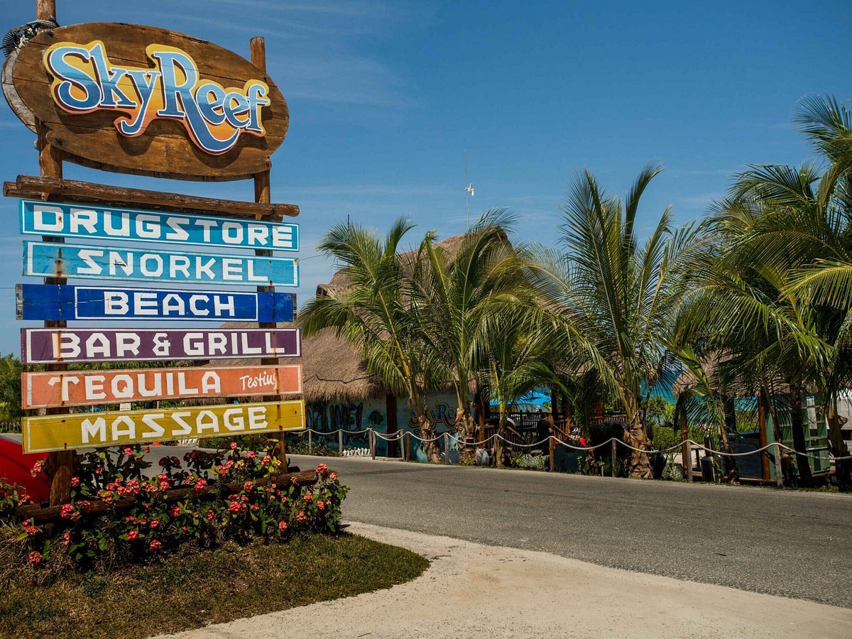 <span style="font-weight: bold;">Si visitas cozumel</span><br>